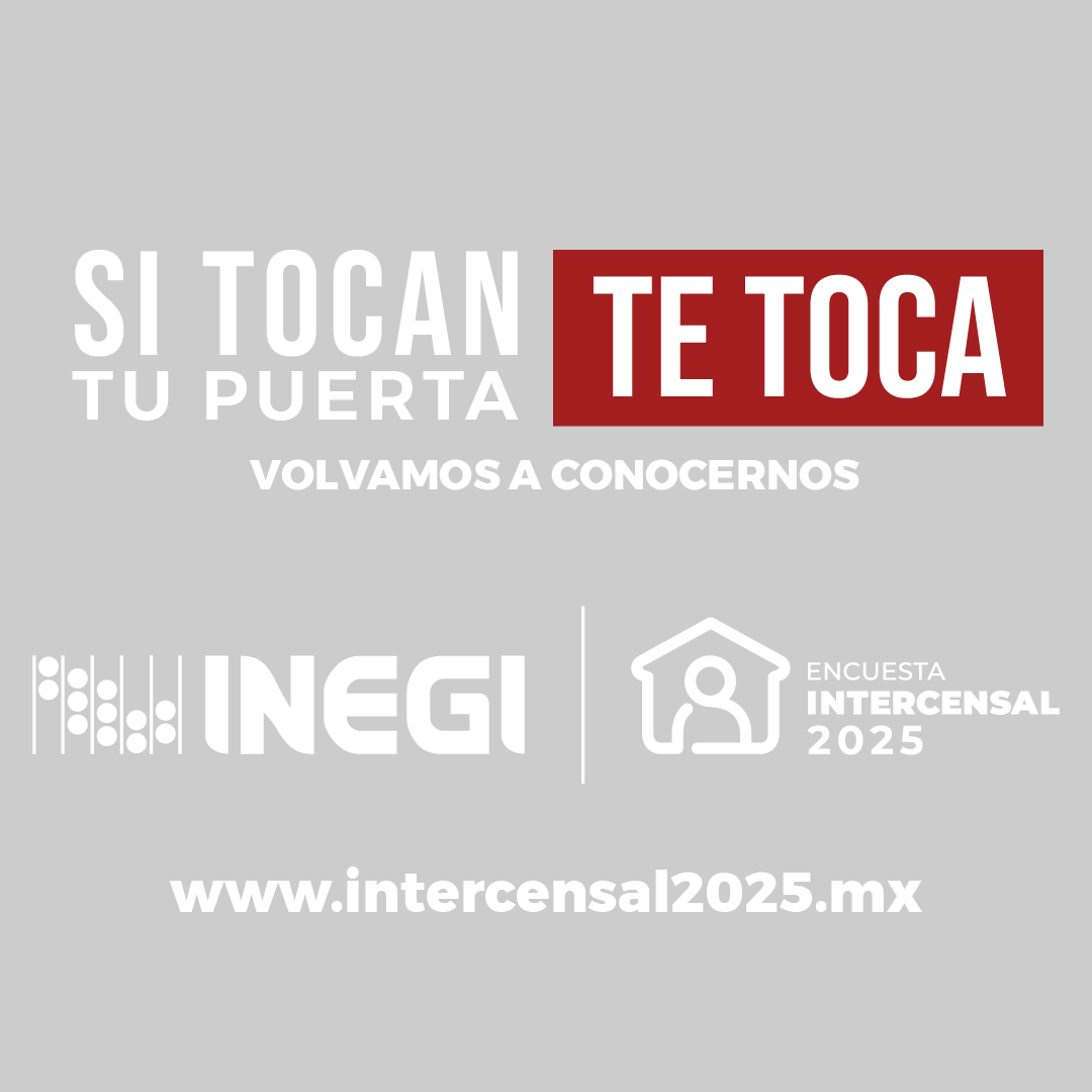 Banner INEGI 2025